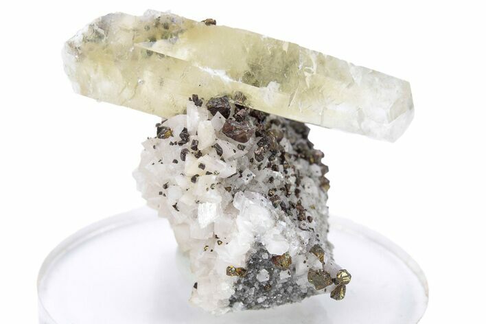 Calcite and Brassy Chalcopyrite on Dolomite - Missouri #241816